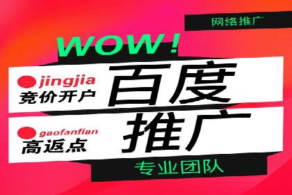 SEM代运营机构案例：关键词优化与广告投放